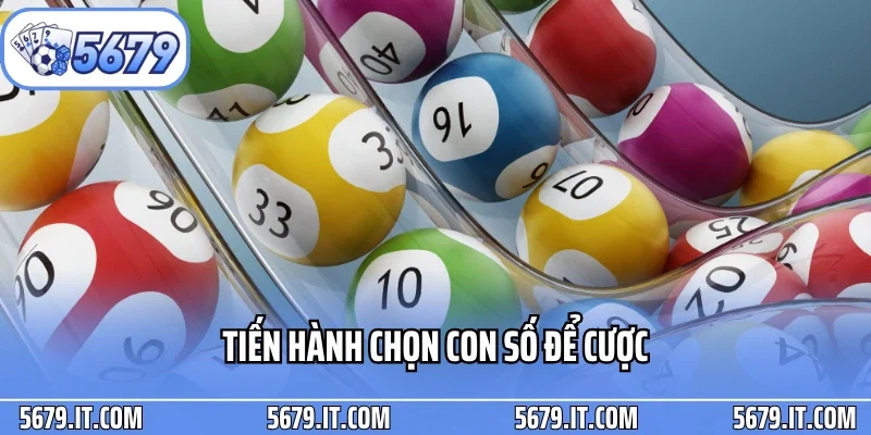 Tiến hành chọn con số để cược